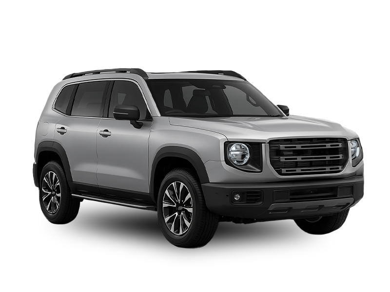 Lucano Rent a Car 자동차 임대 푼타 아레나스 공항 (PUQ) 다른 유형